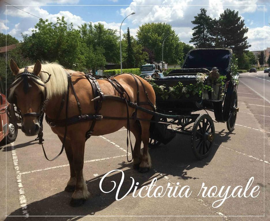 victoria royale