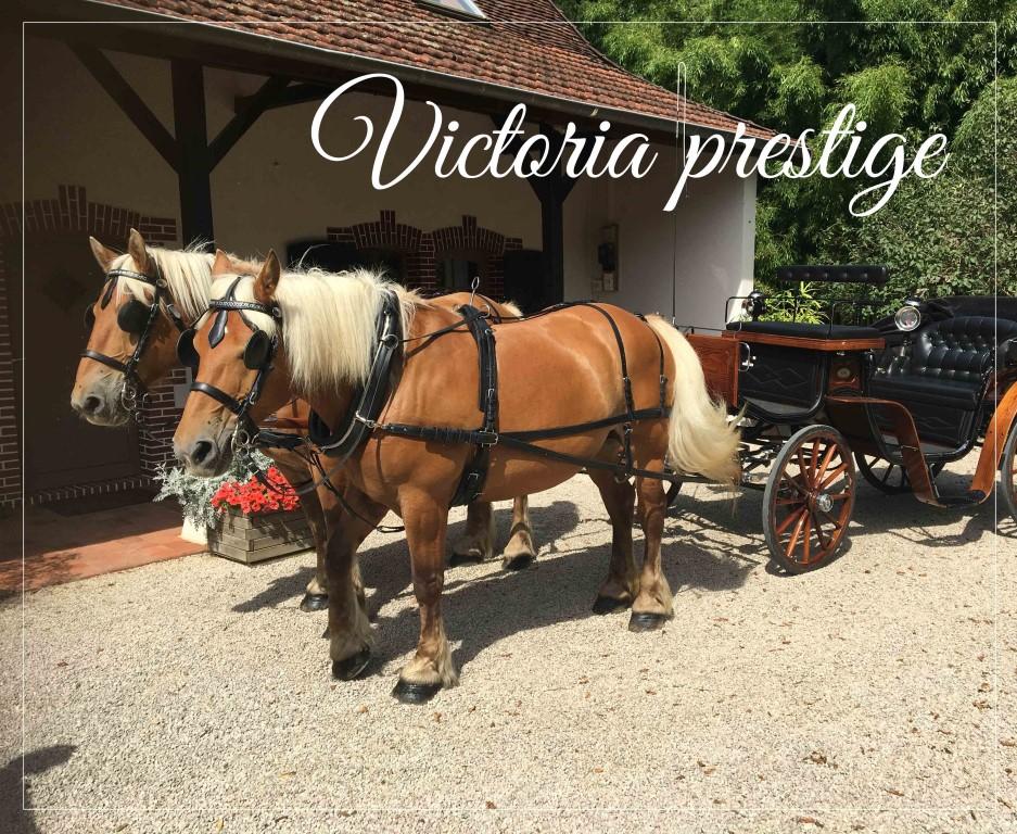 victoria prestige