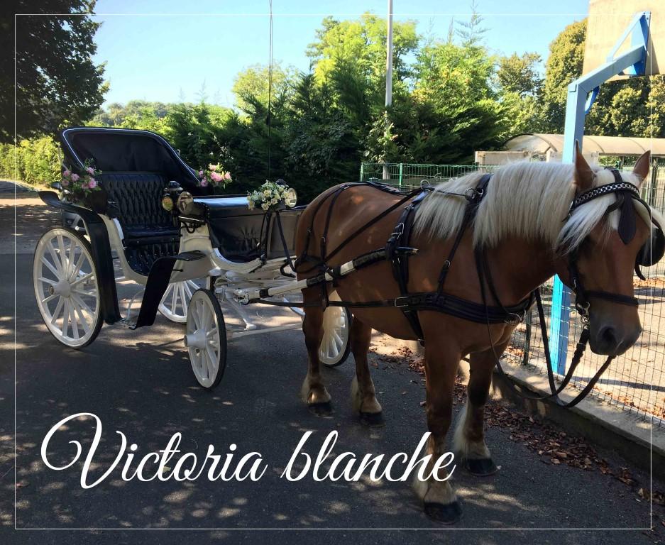 victoria blanche