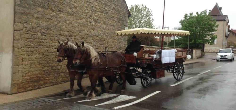 balade des touristes