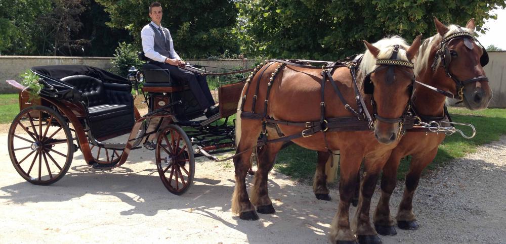 calèche et chevaux
