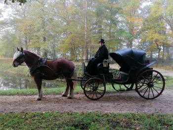 calèche tournage cinéma