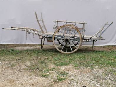Fourragère I