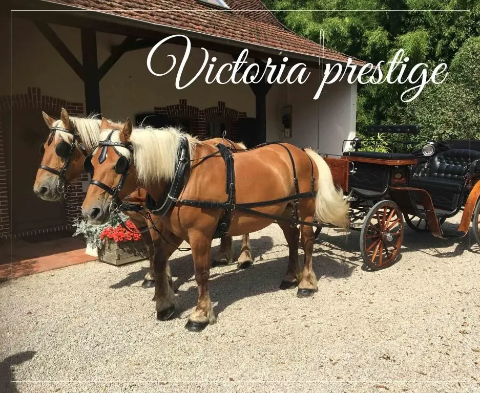 Victoria prestige