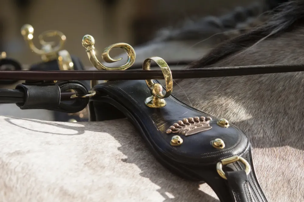 Harnais en cuir en paire - Couleur marron avec ou sans grelot