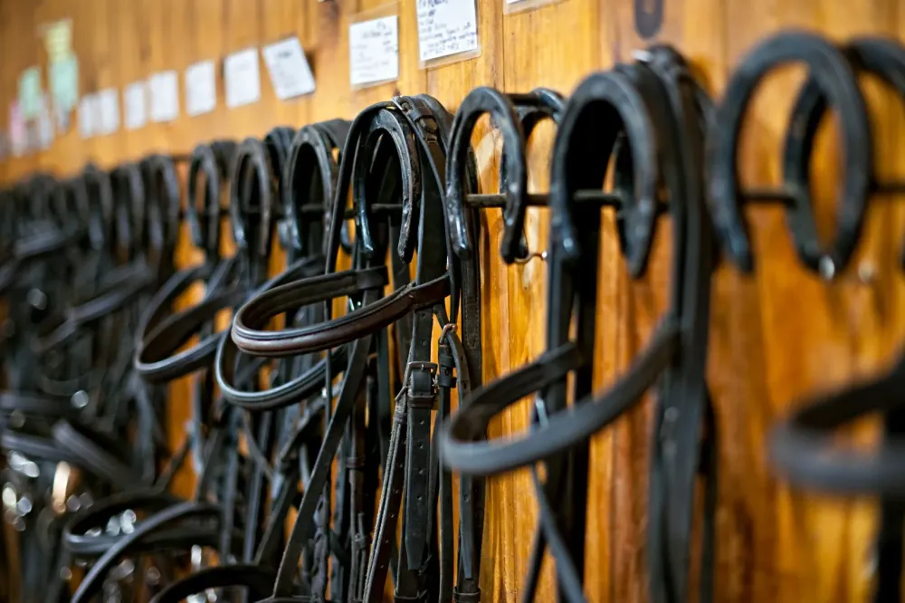 Harnais cuir de couleur marron