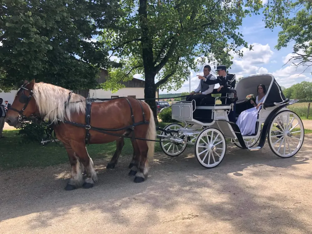 calèche marché noel