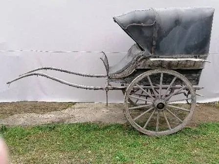 calèche cinema (12)