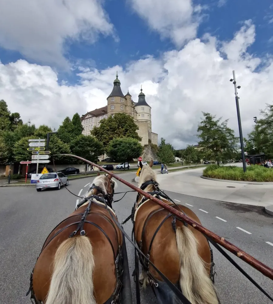 Chevaux tournage à Brevans