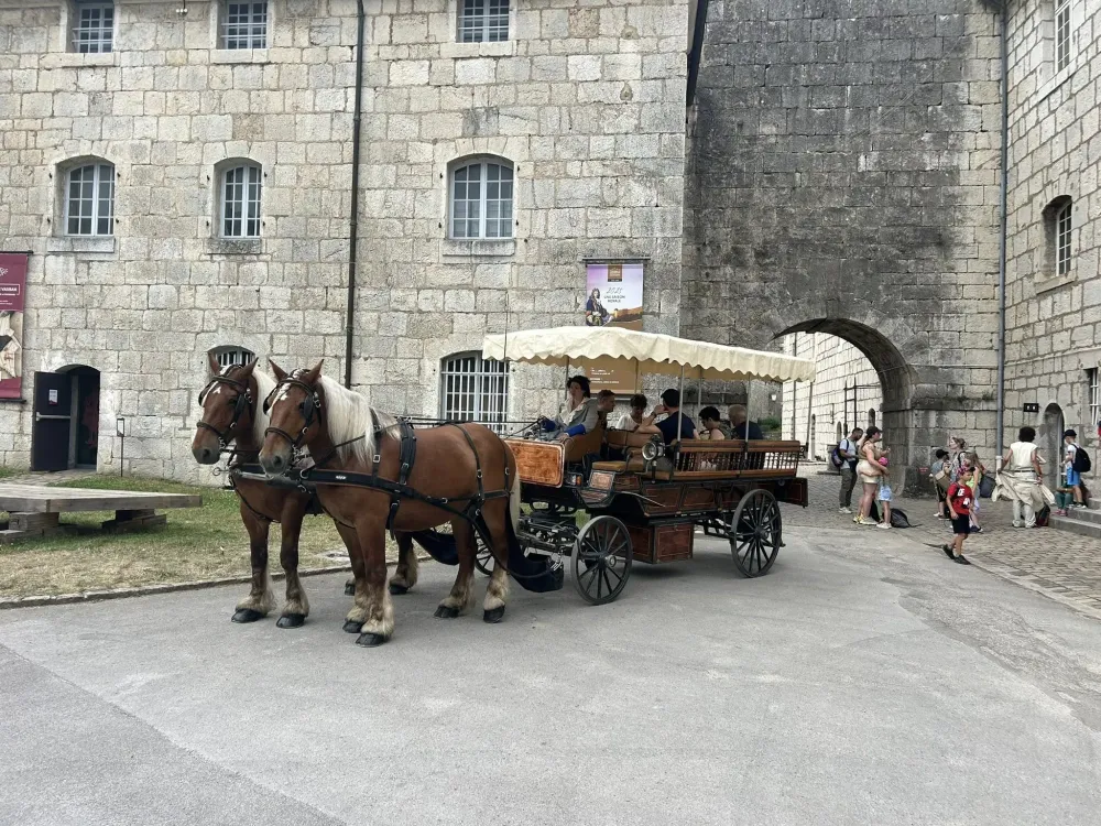 Calèche événementiel à Brevans