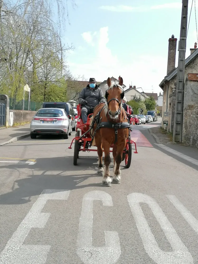 Ramassage des poubelles