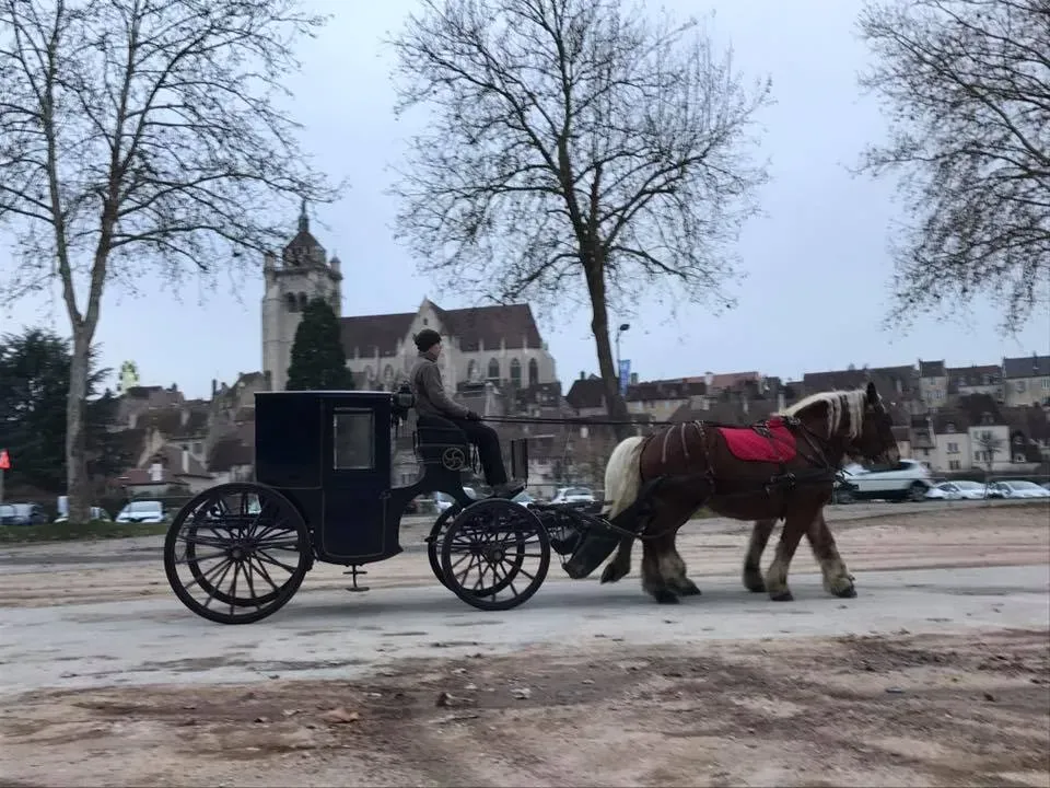 calèche PMR