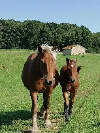 Légende du Val d'Amour